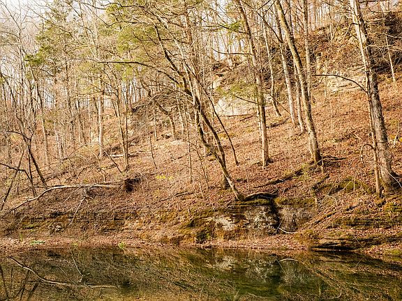 65th image of this home