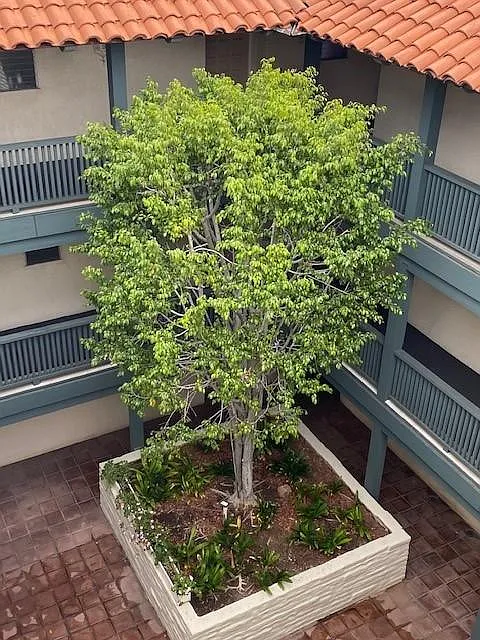 1 bed, 864 sqft, $2,200 — Photo 4