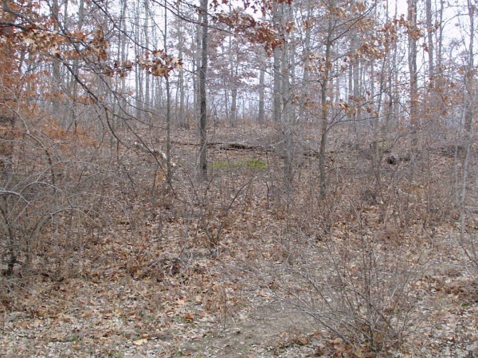 1st image of White River Dr