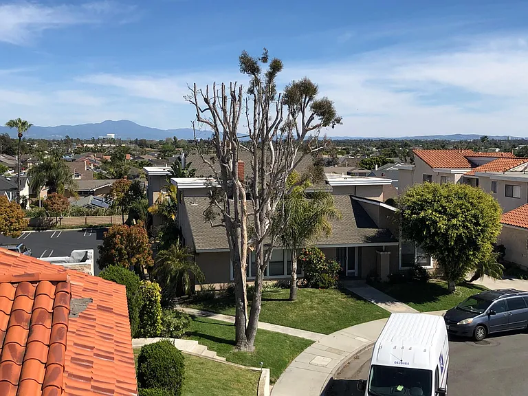 View of Saddleback mountain from rear balcony