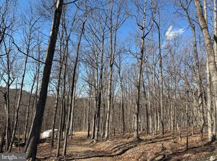 Goldsborough Rd, Springfield, WV 26763