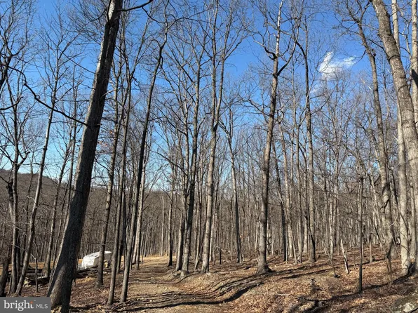 Goldsborough Rd, Springfield, WV 26763