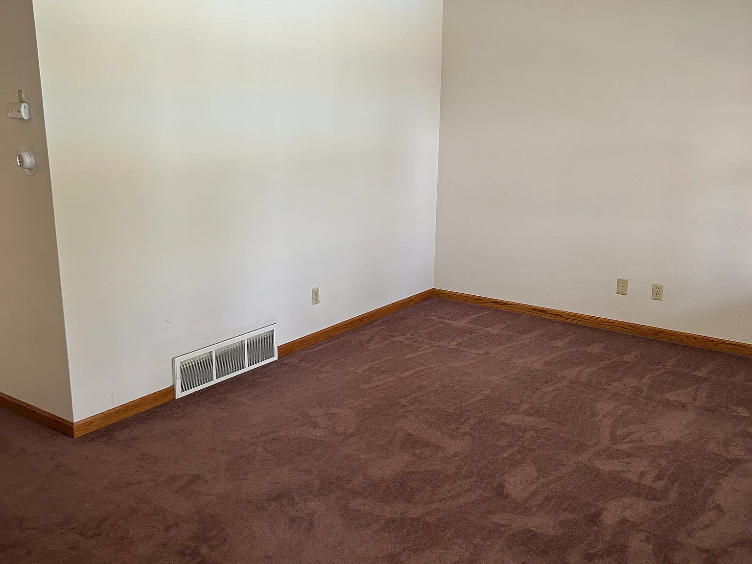 1 bed, $795 — Photo 3