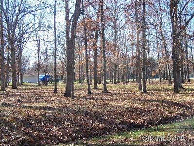Teal Dr, Carlyle, IL, 62231