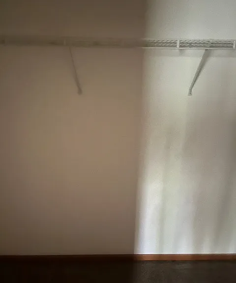 Main Closet