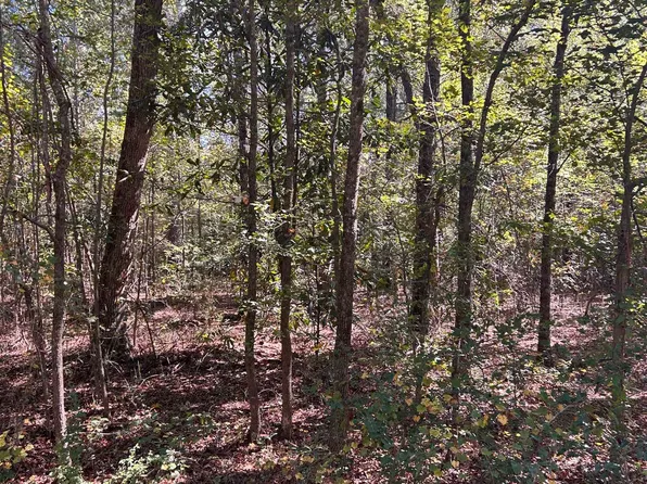 0 Flint Dr, Fort Valley, GA 31030