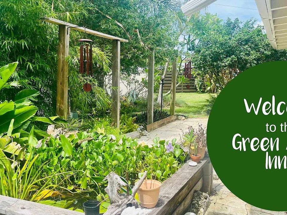 The back yard is a pop of jungle green and is constantly changing with new things in bloom!
