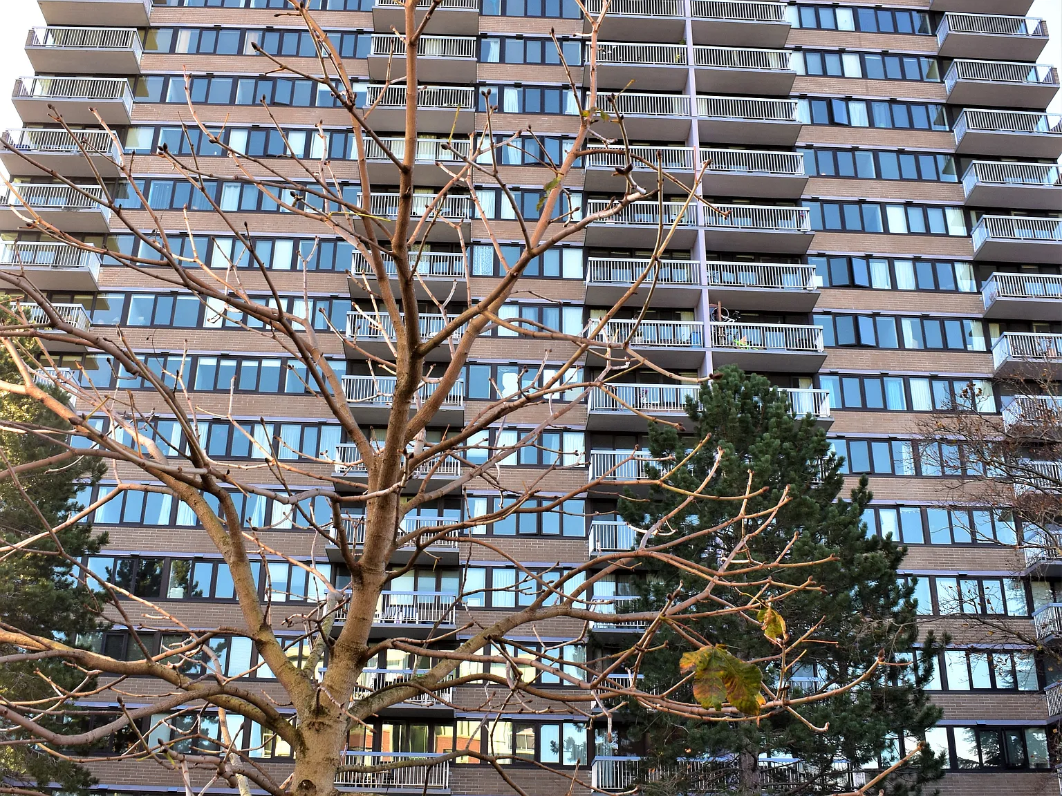 Orchard House — Photo 3