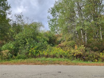 0 Caswell Rd #4, Randolph, NY, 14772