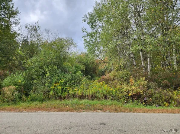 0 Caswell Rd #4, Randolph, NY 14772