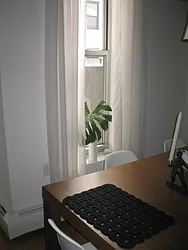 Rented by Alpha Properties NYC I LLC