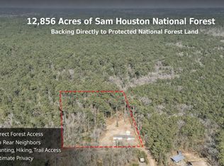 99 Fawn Dr, New Waverly, TX 77358