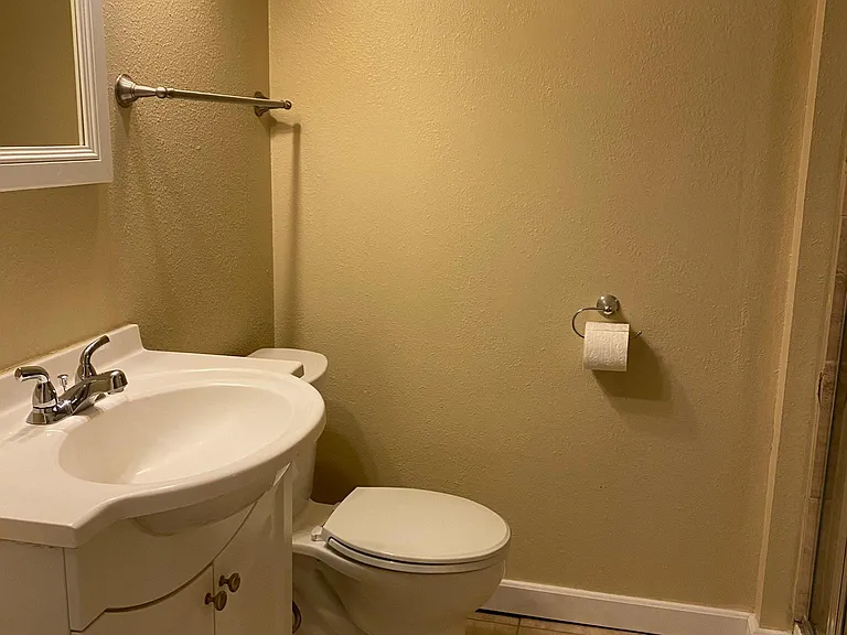 Lower level bathroom