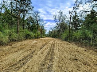 13924 Smith Ln, Bremond, TX 76629