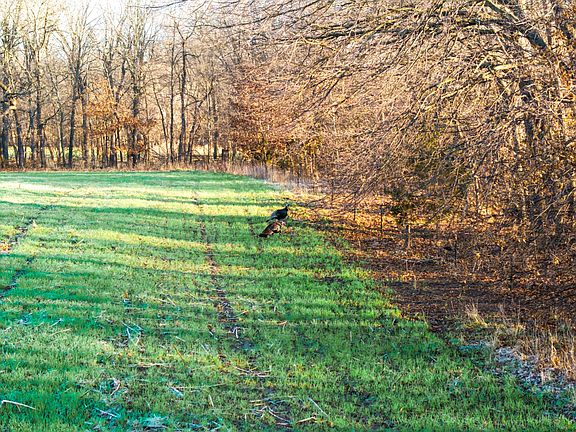 4th image of Edwards Rd