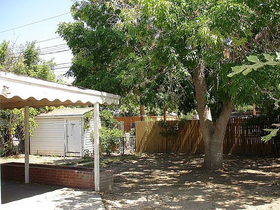 Backyard with shade tree