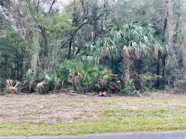 0 NE 245th Street Rd, Fort Mc Coy, FL 32134