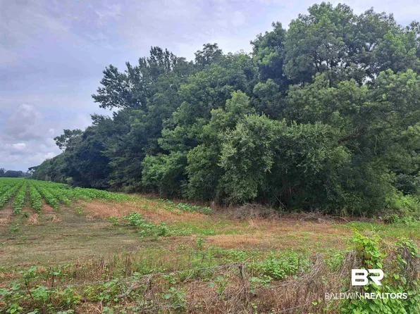 12245 Henderson Camp Rd, Grand Bay, AL 36541