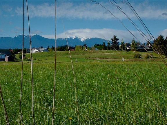 5th image of 223 Nisbet