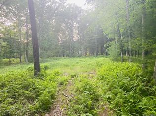 Ivan Franko Rd, Glen spey, NY 12737
