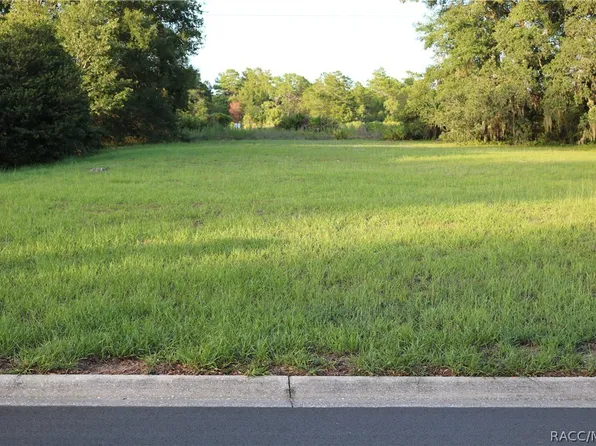 1697 N Wembley Dr, Crystal River, FL 34429