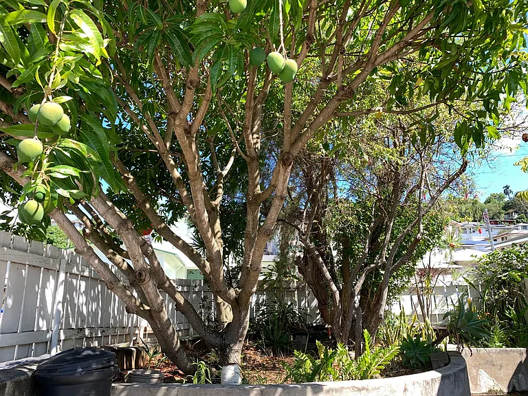 2139 Mahalo St #A — Photo 9