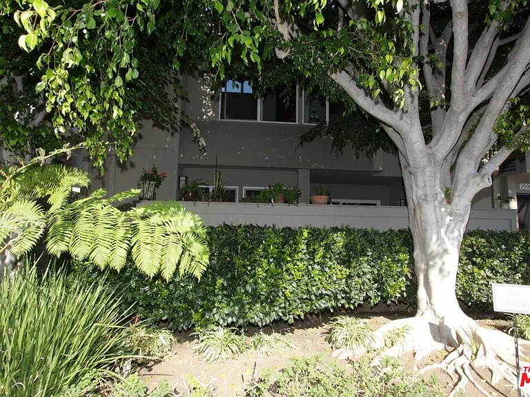 2508 Arizona Ave #4 — Photo 16