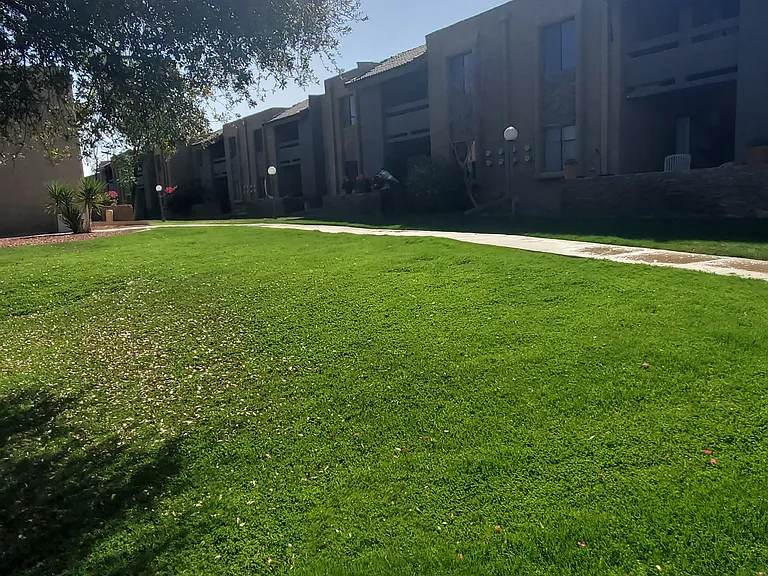 3825 E Camelback Rd #150 — Photo 25