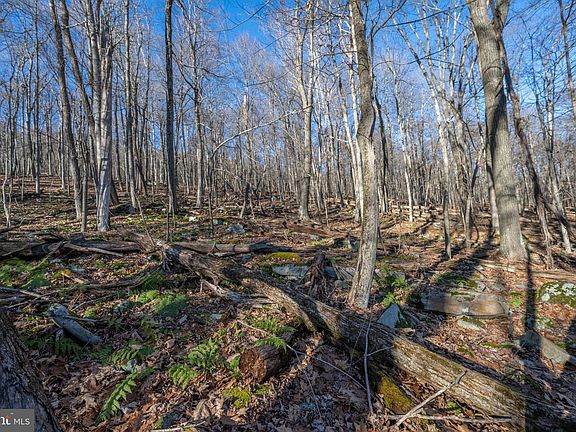 3rd image of 10 Meadow Mountain Trl