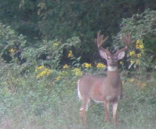 2nd image of 5536 W County Road 100 S