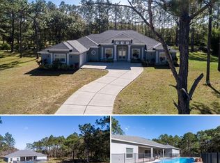 15654 Phillips Rd, Odessa, FL 33556