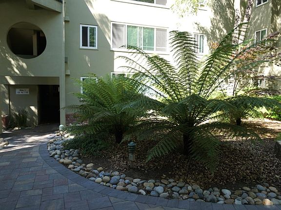 3rd image of 155 El Camino Real #22