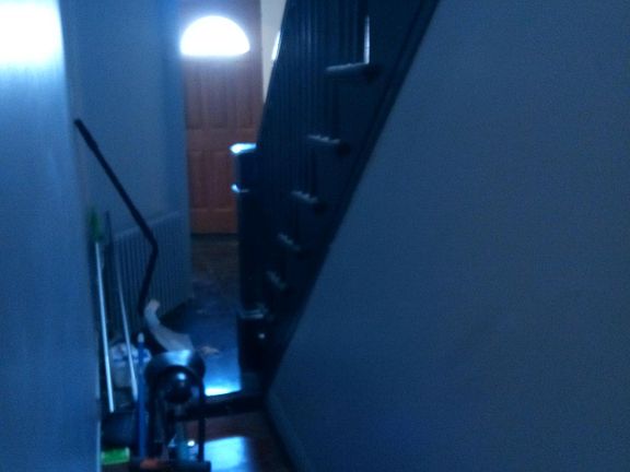 3rd image of 426 Castleton Avenue # Fl 2nd