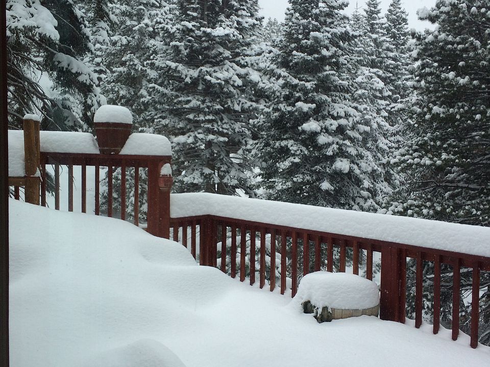 10195 Old Mount Rose Hwy, Reno, NV 89511 Zillow