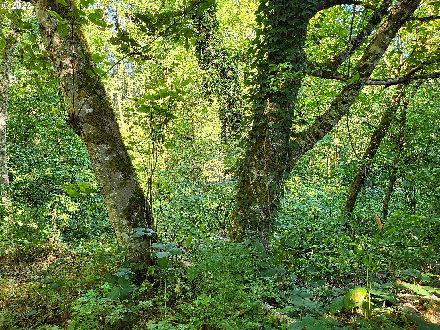 Summit Dr, Scappoose, OR 97056 Zillow