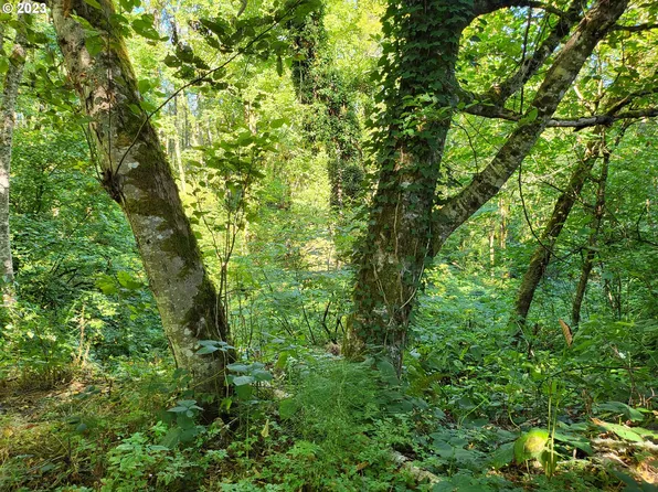 Summit Dr, Scappoose, OR 97056