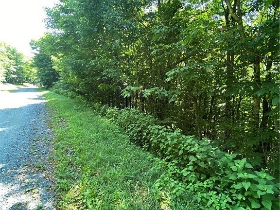 3rd image of TBD W Pinnacle Drive