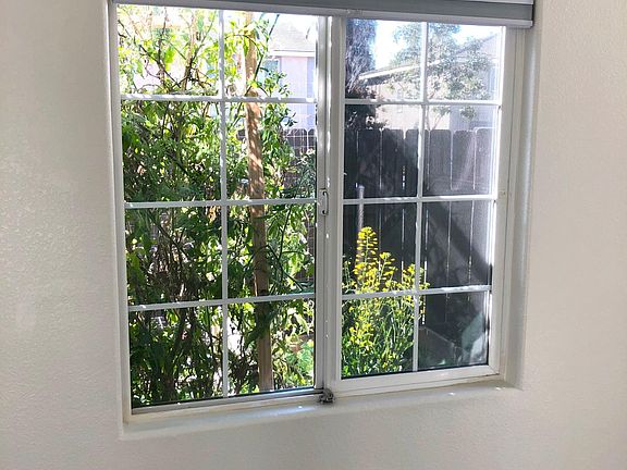 View to South side garden