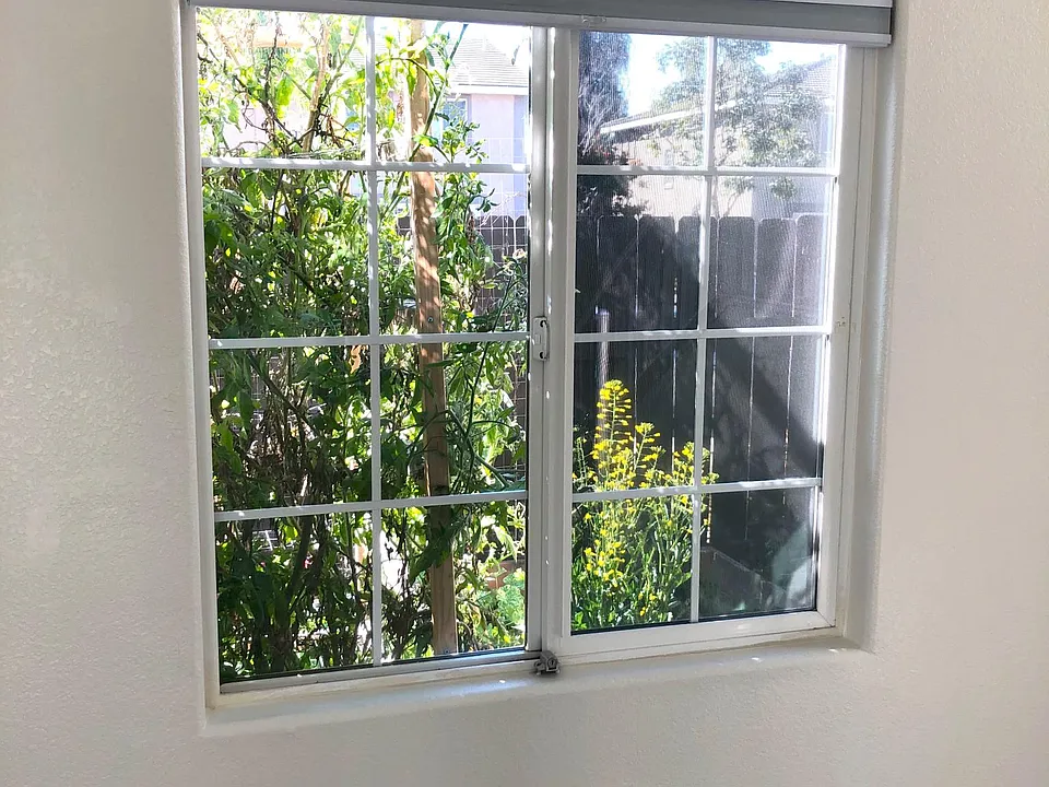 View to South side garden