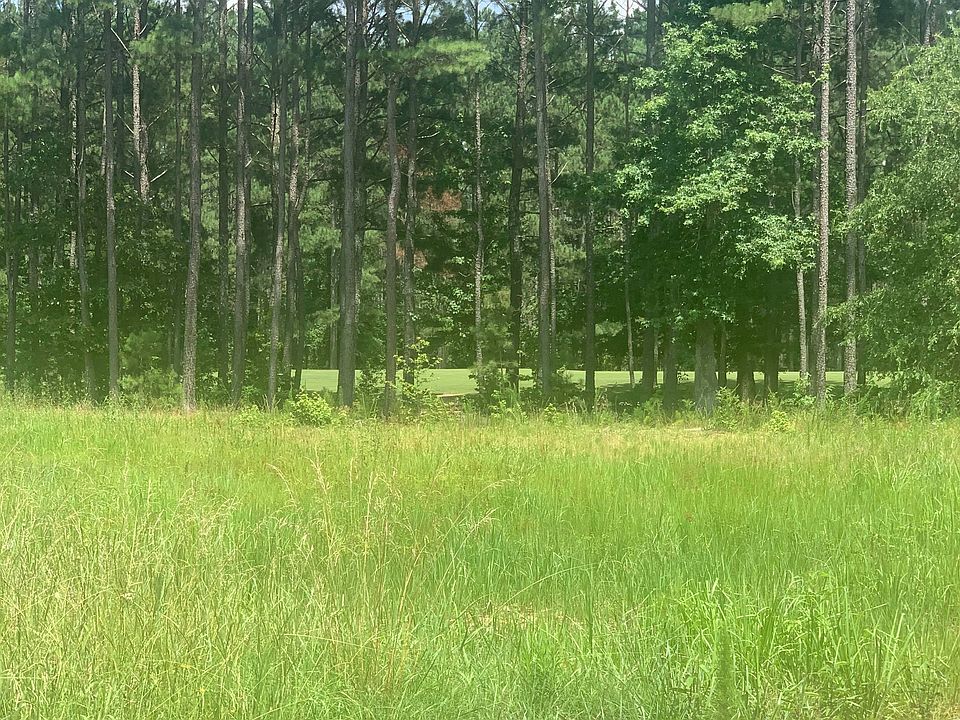 2nd image of 120 Nelson Blvd NW Lot 0