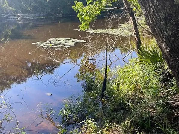 Jenkins Rd S, Oakhurst, TX 77359