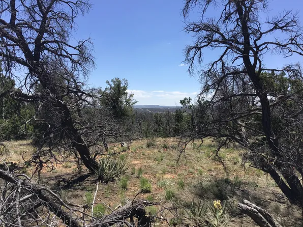 854 Carter Dr, Ramah, NM 87321
