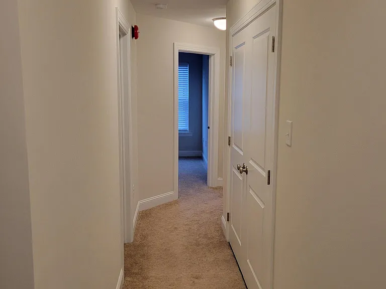 317 Chestnut St — Photo 8