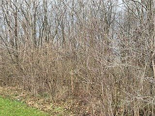 3rd image of 0 Cattail Rd