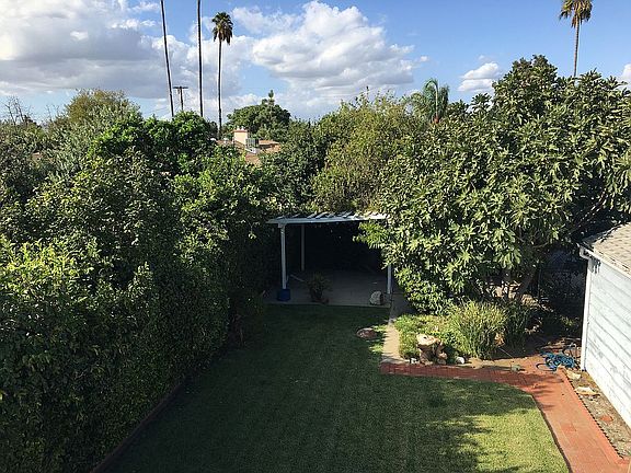 Backyard from roof