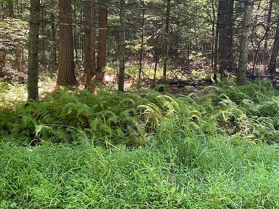 2nd image of LOT 35 Cricket Hill Rd