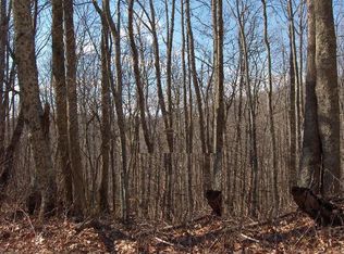 1 Meadow Ave, Banner Elk, NC 28604