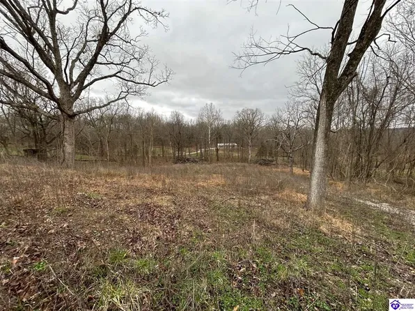 185 Rhodelia Rd, Payneville, KY 40157