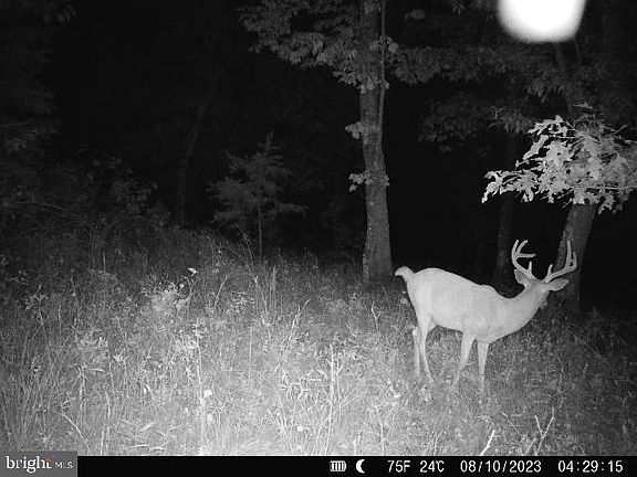 2nd image of Apple Harvest Dr