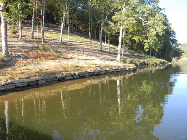 Eagles Nest Lot County Rd #594, Leesburg, AL 35983